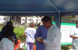 Cachorro quente da resistência-21
